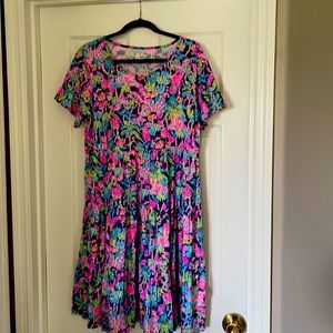 Beautiful Lilly dress,never worn